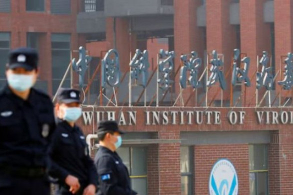 Chinese scientists have discovered the existence of a new type of coronavirus in the body of the bats