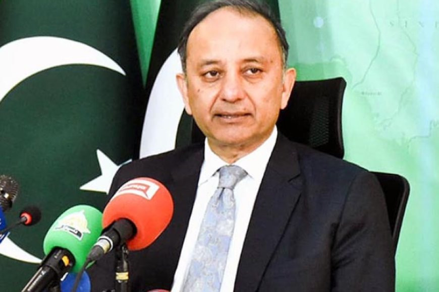 Malik meets World Bank VP to advance development projects