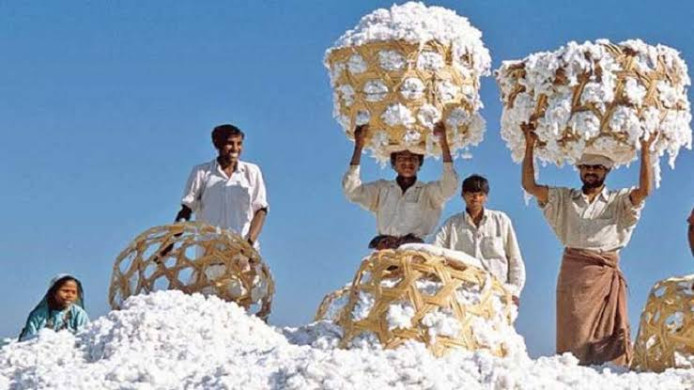 NBR Withdraws 2% Advance Tax on Cotton and Fibre Imports