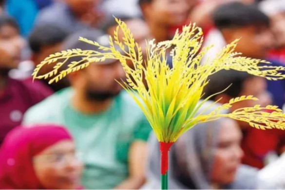 Survey: BNP leads voter preferences, Awami League outpaces student party