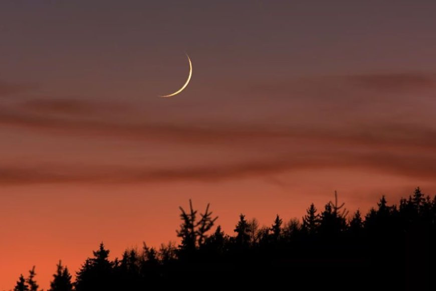 The moon has been seen, Siam  in Saudi Arabia begins Saturday